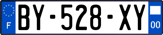 BY-528-XY