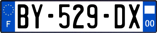 BY-529-DX