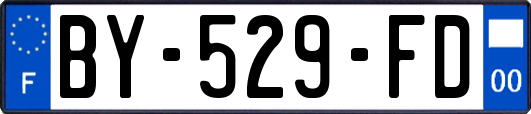 BY-529-FD