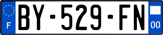 BY-529-FN
