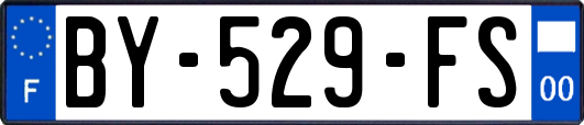 BY-529-FS