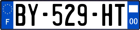 BY-529-HT