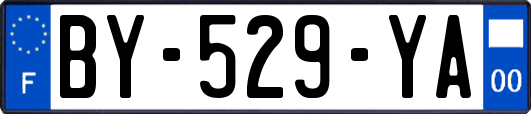 BY-529-YA
