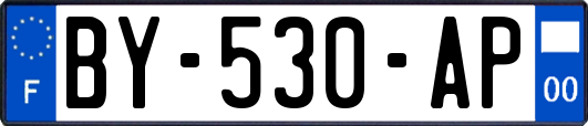 BY-530-AP