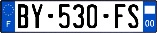 BY-530-FS