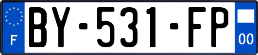 BY-531-FP