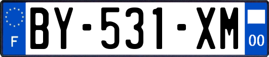 BY-531-XM