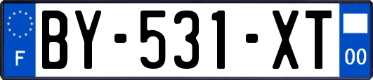 BY-531-XT