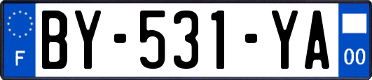 BY-531-YA