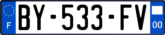 BY-533-FV
