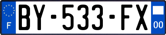 BY-533-FX