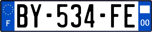 BY-534-FE