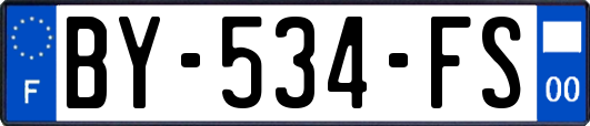 BY-534-FS