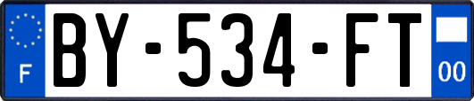 BY-534-FT