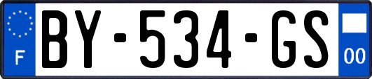 BY-534-GS