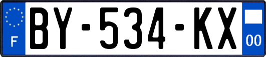 BY-534-KX