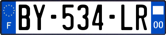 BY-534-LR