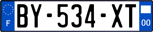 BY-534-XT