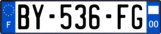 BY-536-FG