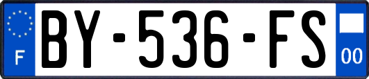 BY-536-FS