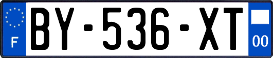 BY-536-XT