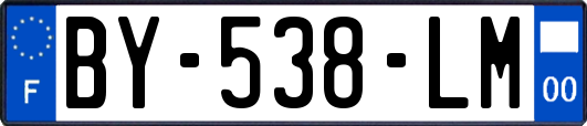 BY-538-LM