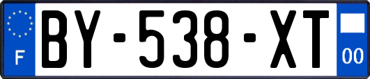 BY-538-XT
