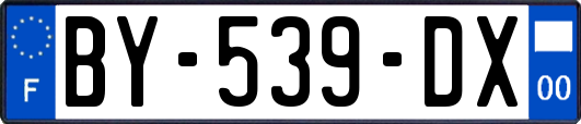 BY-539-DX