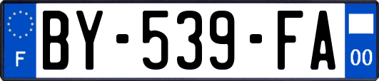 BY-539-FA
