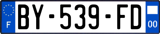BY-539-FD
