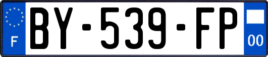 BY-539-FP