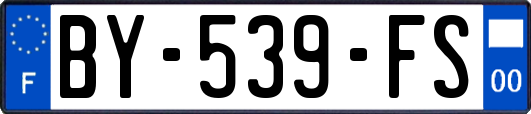 BY-539-FS