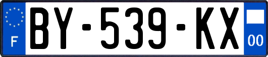 BY-539-KX