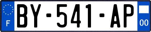 BY-541-AP