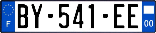 BY-541-EE