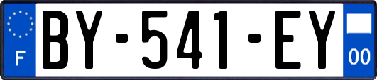 BY-541-EY
