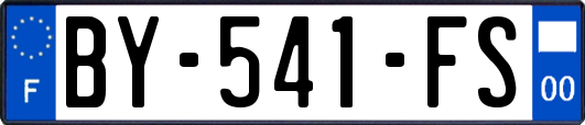 BY-541-FS