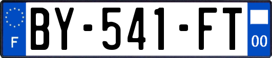 BY-541-FT