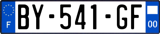 BY-541-GF