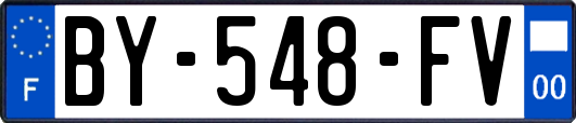 BY-548-FV