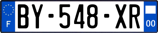 BY-548-XR