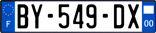 BY-549-DX