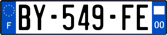 BY-549-FE
