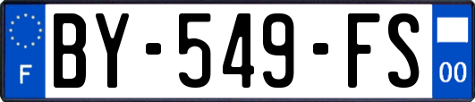 BY-549-FS