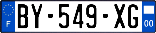 BY-549-XG
