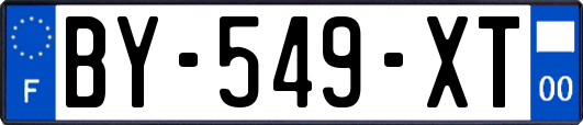 BY-549-XT
