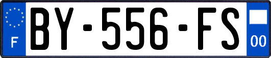 BY-556-FS
