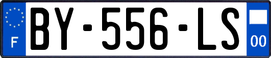 BY-556-LS