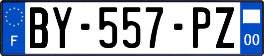 BY-557-PZ