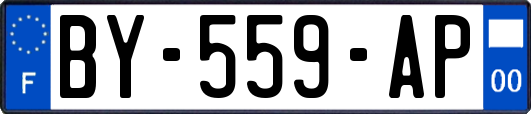 BY-559-AP